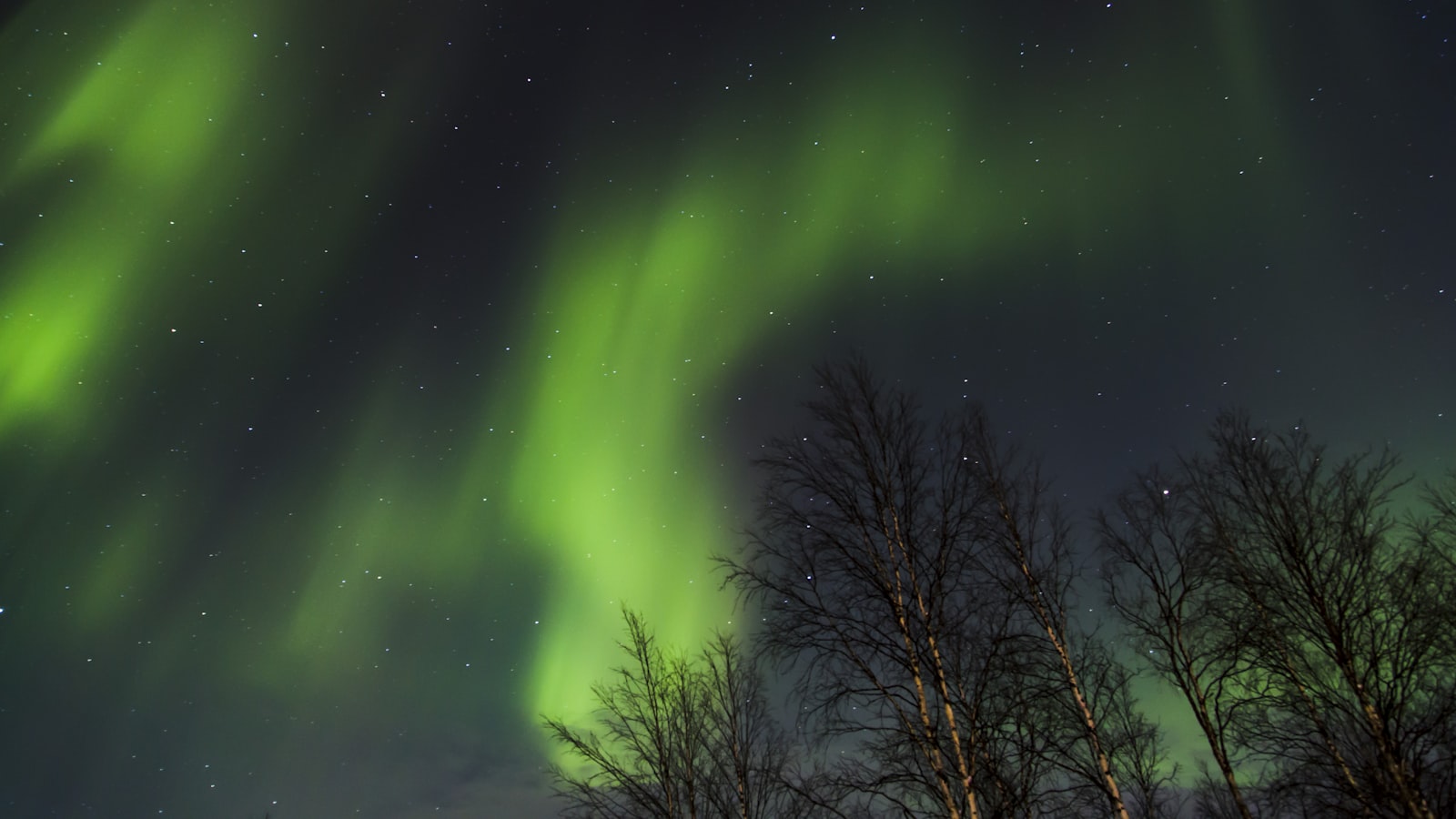 分类封面素材预览